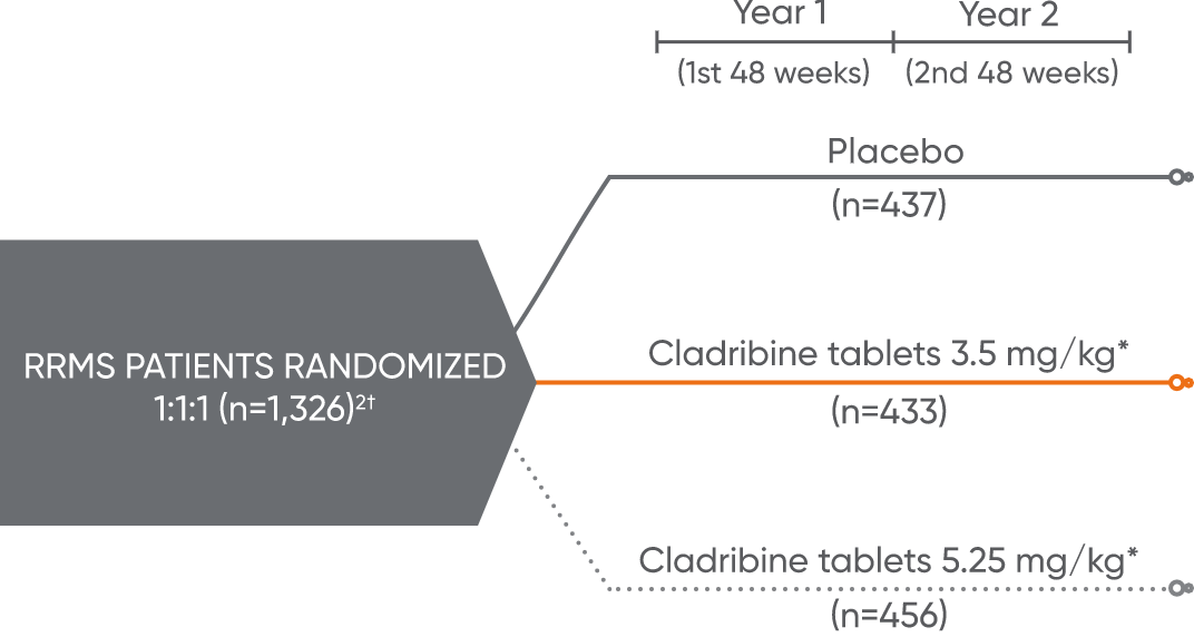 Figure showing the study design and the randomization of the phase 3 pivotal trial, CLARITY.