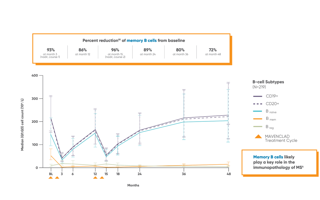 Graph showing B-cell changes over time in the phase 4, open-label MAGNIFY-MS study